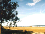 Móng Cái - Trà Cổ